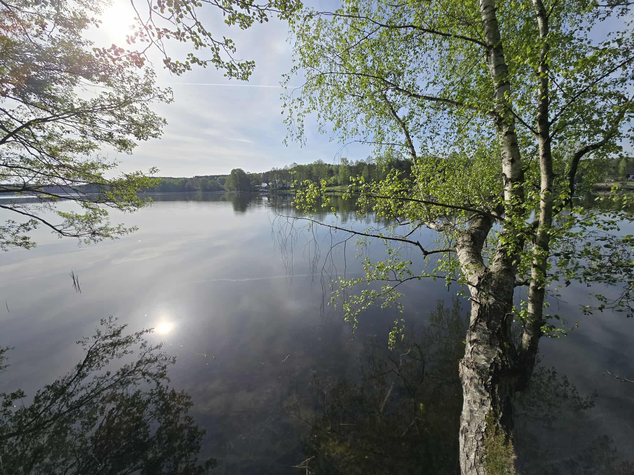 Jezioro odbijające promienie słońca przez drzewa
